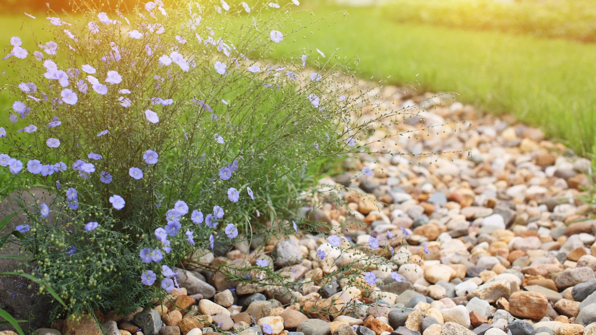 3 Drainage Solutions That Can Help Prevent Flooding Issues on Your Property