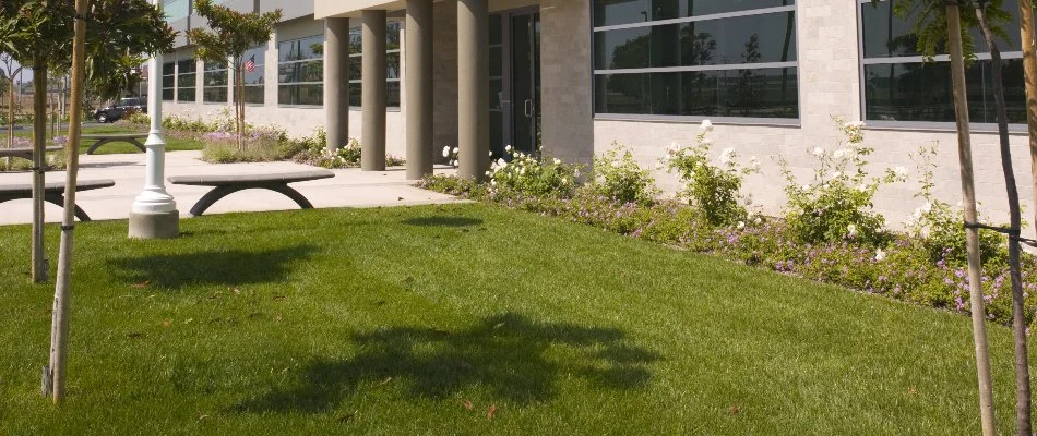 Lawn and landscape on a commercial property in West Palm Beach, FL.