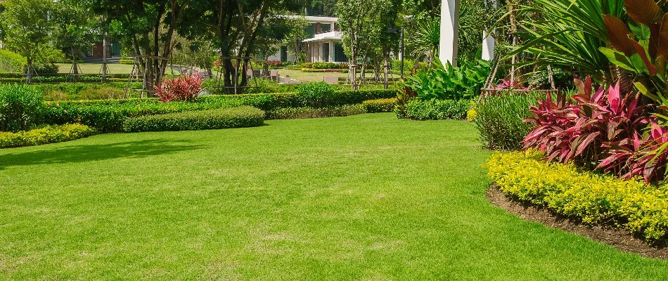 Lawn and landscape with colorful plants on property in Wellington, FL.