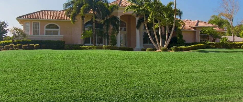 Green, maintained grass in front of a house in West Palm Beach, FL.