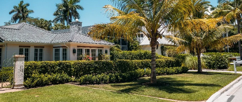 Home with palm trees and bushes in Royal Palm Beach, FL.