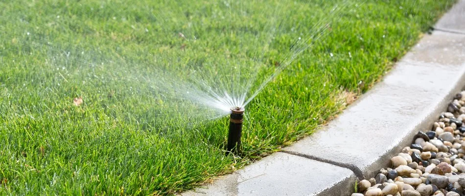 Sprinkler system spraying water on lawn in Wellington, FL.