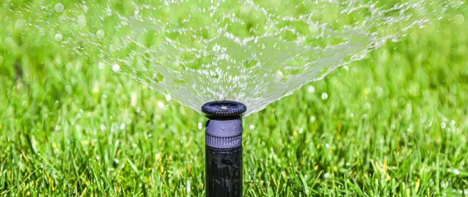 Irrigation sprinkler system hydrating a lawn in Boca Raton, FL.