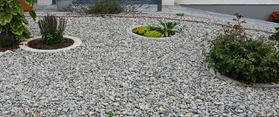 Landscape bed in West Palm Beach, FL, with decorative rocks and small plants.