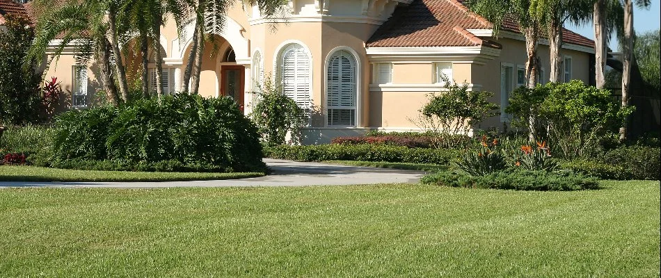 Lawn and landscape in Palm Beach, FL, with tropical plants.