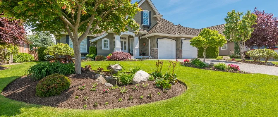 Beautiful lawn and plants on property in South Florida. 