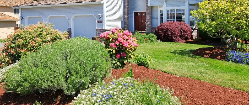 Lawn and landscape on residential property in Hypoluxo, FL.