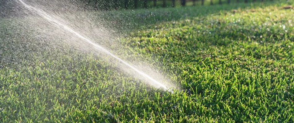 Sprinkler head on a lawn in Atlantis, FL, spraying water.