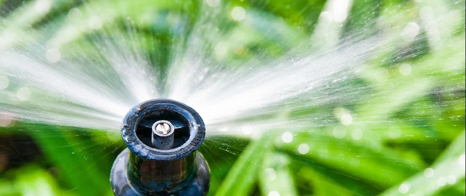 Sprinkler head in West Palm Beach, FL, spraying water.