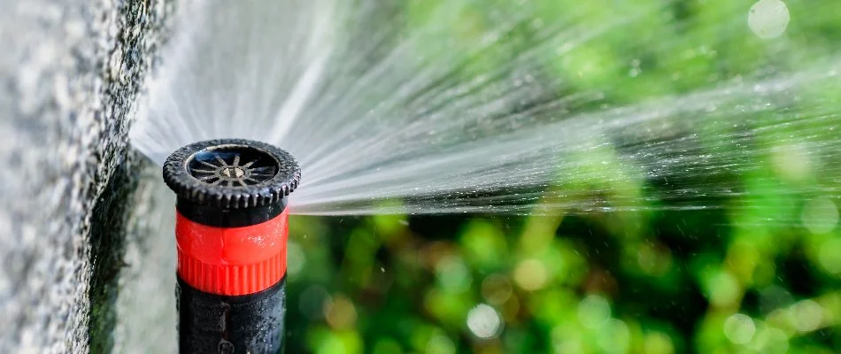 Sprinkler head in West Palm Beach, FL, near a concrete wall spraying water.