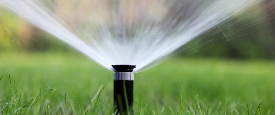 Water spraying from the top of a black sprinkler head in West Palm Beach, FL.