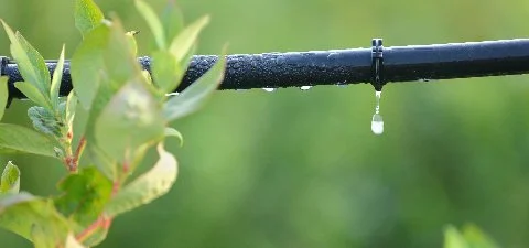 Drip irrigation system installation