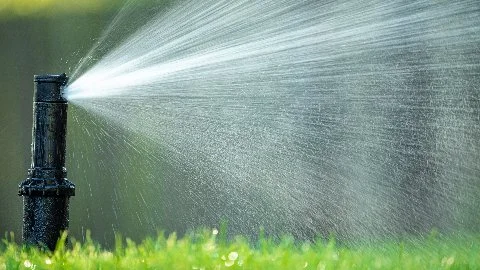 Sprinkler running at a home West Palm Beach, FL.