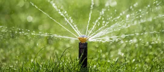 About Evergreen Sprinkler & Irrigation Services