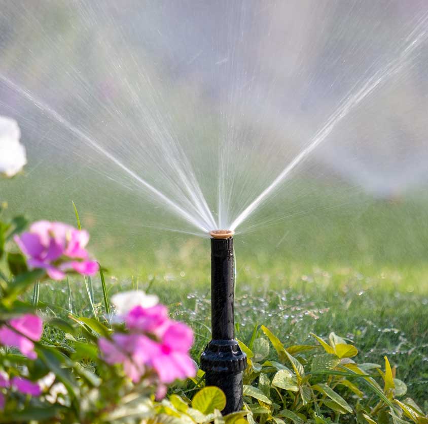 Irrigation Maintenance South Florida