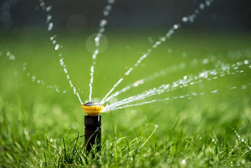 Expert Sprinkler Repair Services | Evergreen Sprinkler West Palm Beach