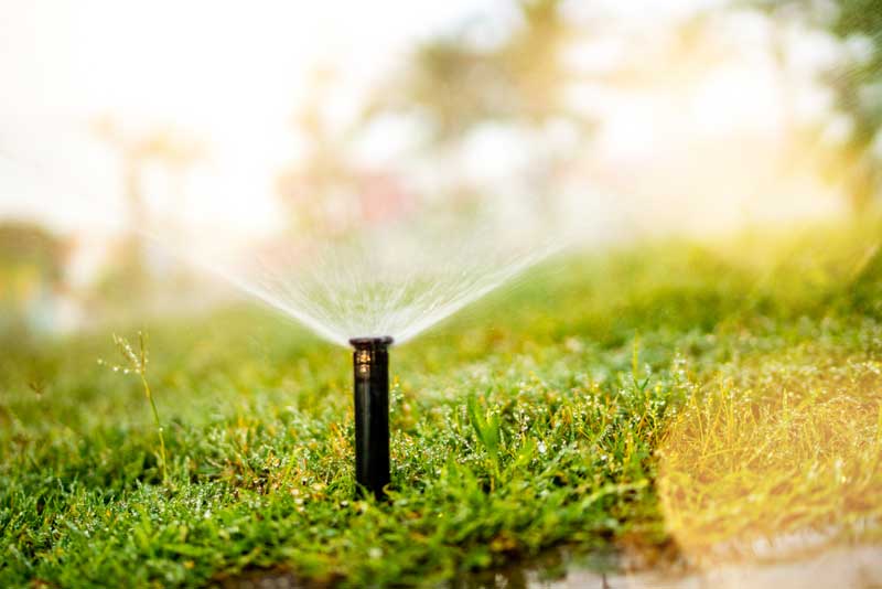 Expert Sprinkler Repair Services | Evergreen Sprinkler Boynton Beach