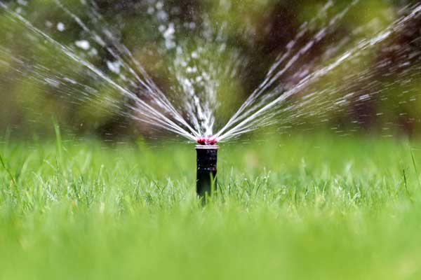 Boynton Beach Broken Sprinkler Repair | Evergreen Sprinkler & Landscape Services