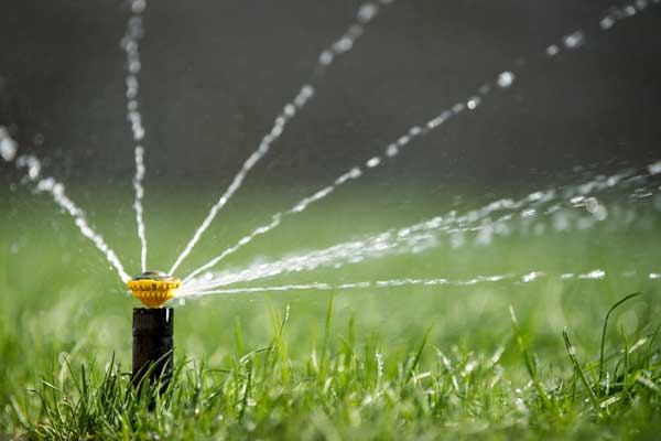 Boynton Beach Broken Sprinkler Repair | Evergreen Sprinkler &amp; Landscape Services