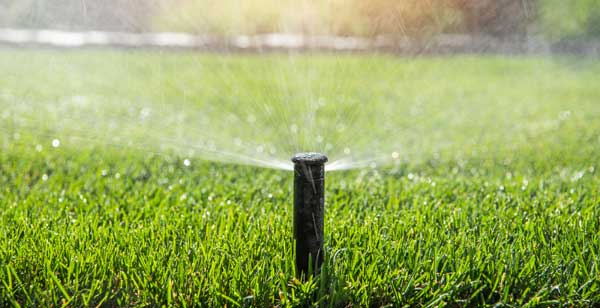 Lake Worth Broken Sprinkler Repair | Evergreen Sprinkler & Landscape Services