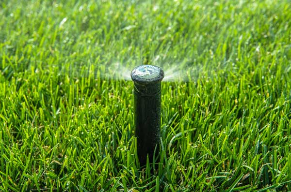 Lake Worth Broken Sprinkler Repair | Evergreen Sprinkler & Landscape Services