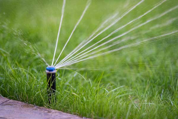 West Palm Beach Broken Sprinkler Repair | Evergreen Sprinkler &amp; Landscape Services