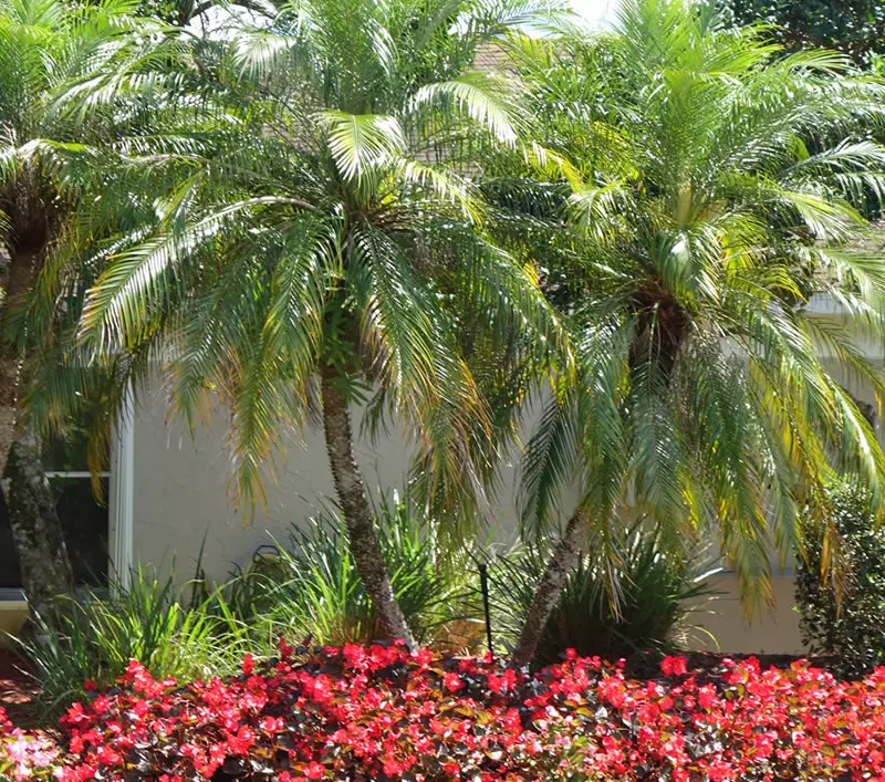 West Palm Beach Sprinkler Repair
